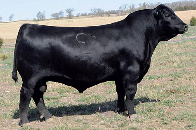 CONNEALY EARNAN 076E